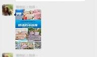最新爆料身边事件视频播放,最新视频爆料引发热议
